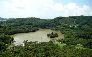 仙湖游玩攻略，云南澄江抚仙湖游玩攻略