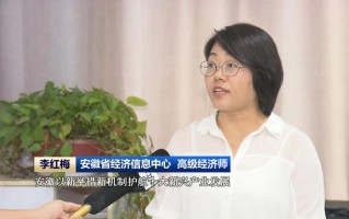 李红梅，李红梅个人简历