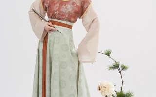 唐风格汉服穿搭，唐风格汉服穿搭图片
