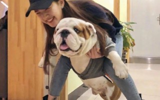 不想谈恋爱文案沙雕，不想谈恋爱文案沙雕句子