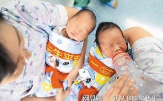 试管婴儿是什么意思，试管婴儿是什么意思 是亲生的吗