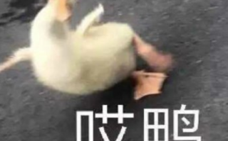 喝酒自拍沙雕文案图片，喝酒自拍沙雕文案图片大全