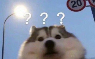 沙雕贪吃文案，沙雕贪吃文案搞笑