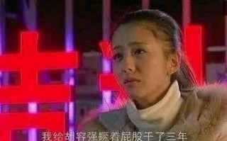 元华恶搞视频，元华的表情包