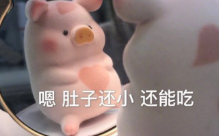 姐弟文案沙雕句子，姐弟文案沙雕句子搞笑