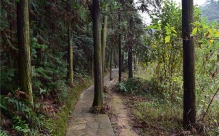 九真山游玩攻略，九真山一日游攻略