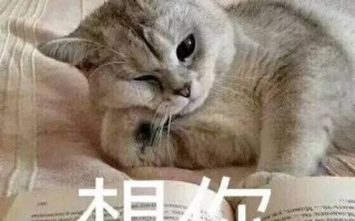 沙雕搞笑文案酒，沙雕搞笑文案