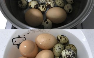 双蛋，双蛋黄的蛋可以吃吗