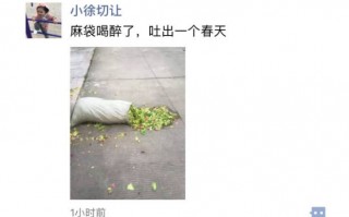 庆阳导航文案沙雕，导航搞笑文案