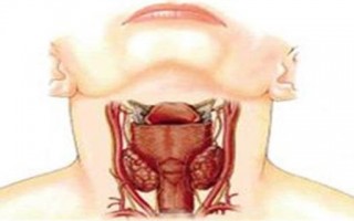 甲状腺游玩攻略，甲状腺护照