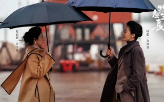 风吹半夏电视剧免费观看全集剧情，风吹半夏电视剧免费观看全集剧情简介