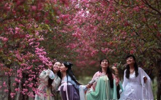 汉服大唐美女穿搭图片，汉服大唐美女穿搭图片大全