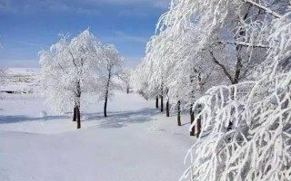 雪景朋友圈沙雕文案，雪景朋友圈沙雕文案短句